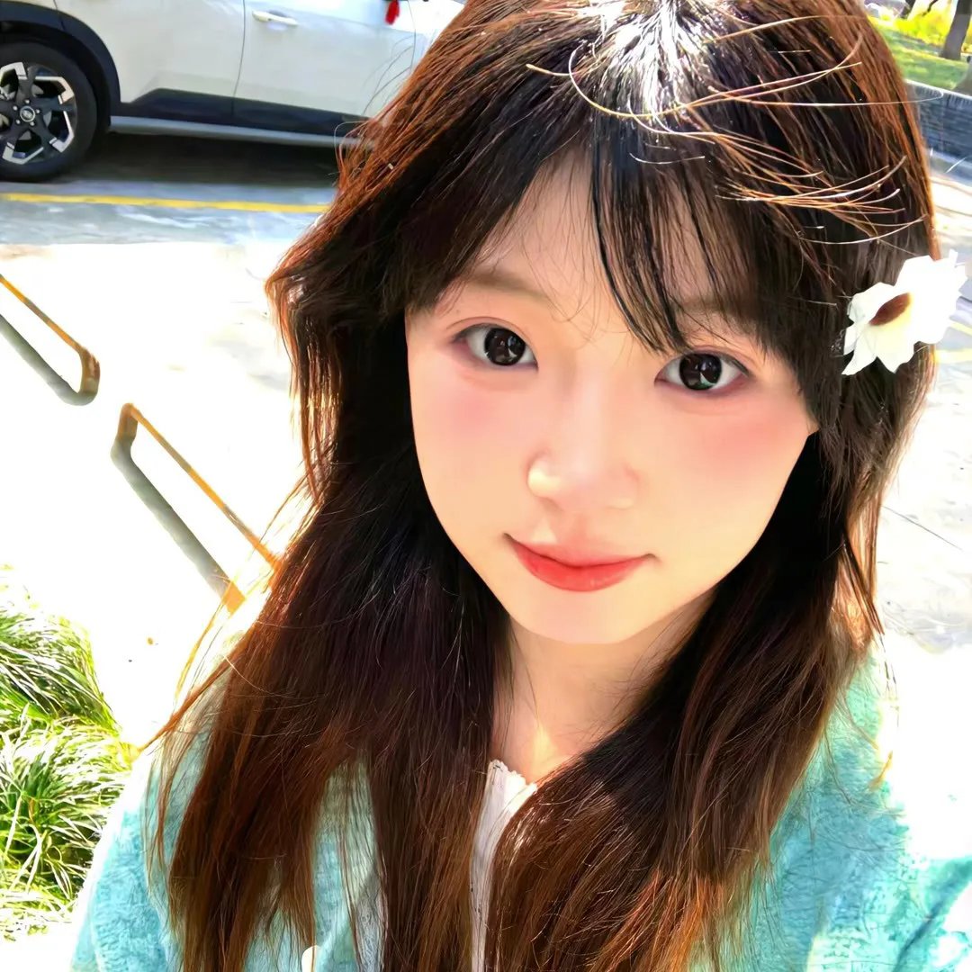 月陨回声